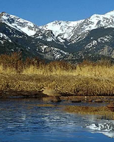 Home Page Image